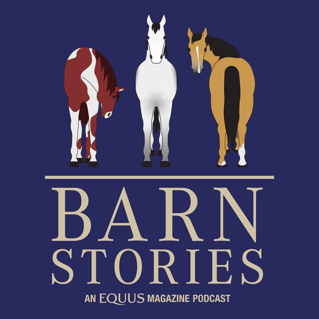 Where he belongs | Barn Stories Ep. 93 - Equus Barn Stories
