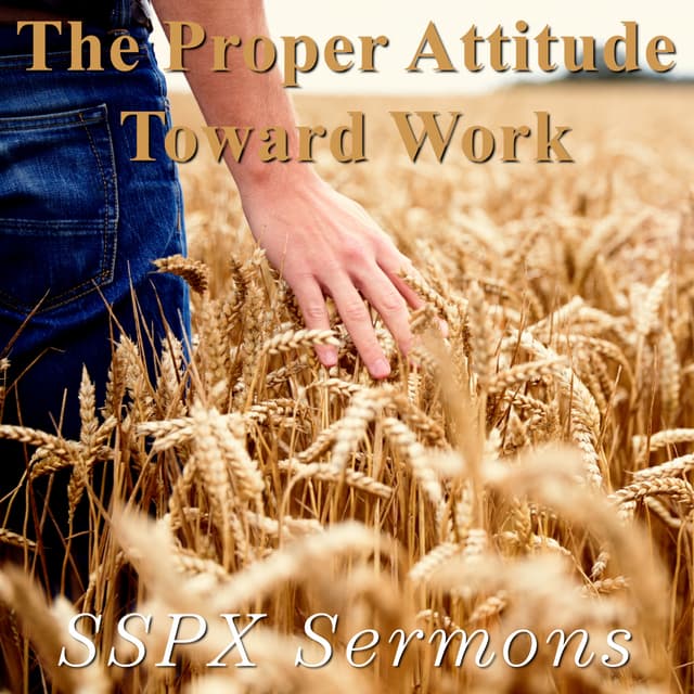 The Proper Attitude Toward Work – SSPX Sermons