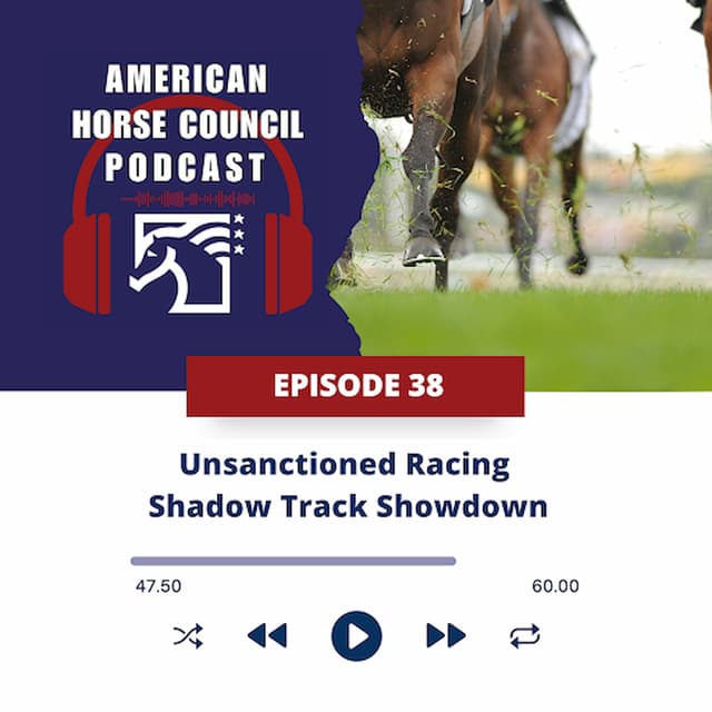 AHC: Unsanctioned Racing, Shadow Track Showdown for June 2, 2026
