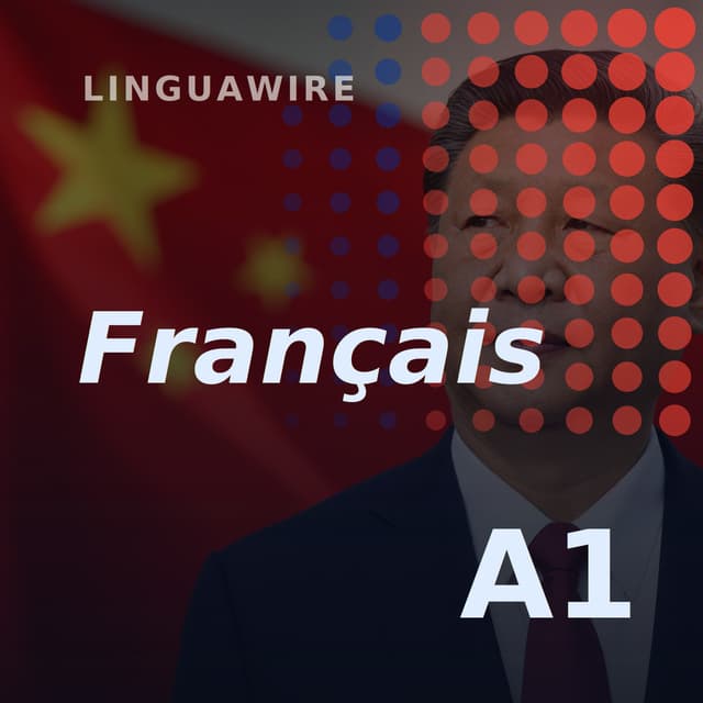 A1 French News | China's Growth Falls to 4.3%