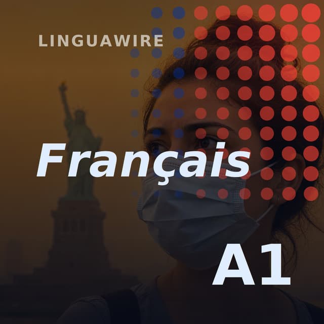A1 French News | Can Smoke from Canada Reach US Cities?
