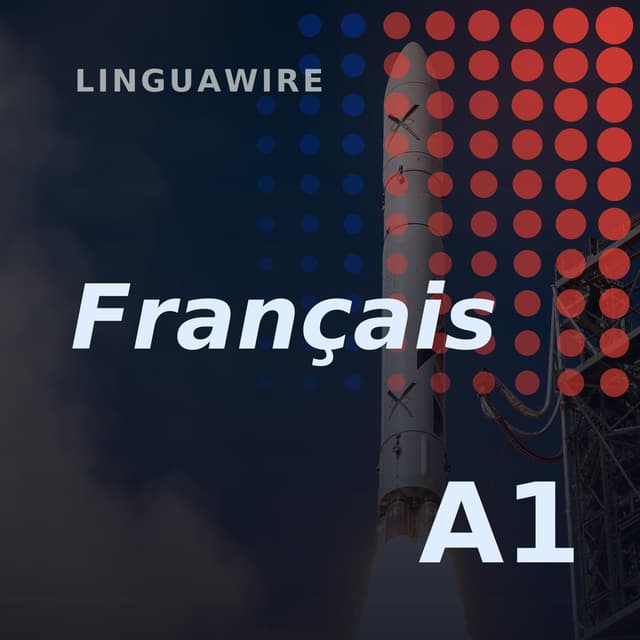A1 French News | India's First Private Rocket Reaches Orbit