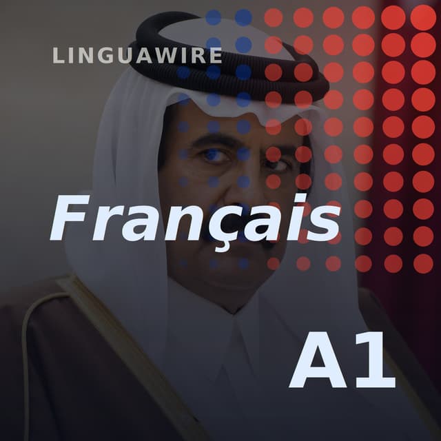 A1 French News | Qatar's Former Leader Dies Aged 74