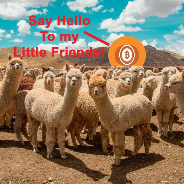 Unforced Errors } Bitcoin News