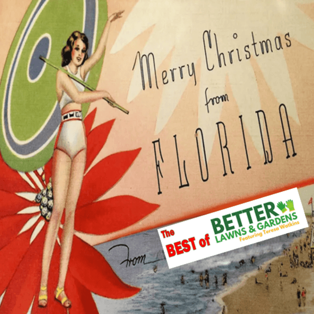 Better Lawns and Gardens - Hour 1 Merry Christmas From Florida December 20, 2025