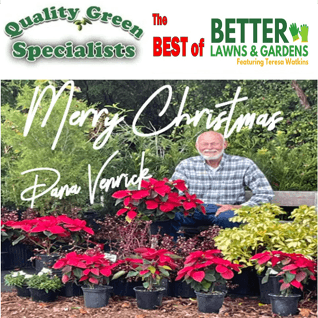 Better Lawns and Gardens - Hour 2 Best Of Christmas December 20 2025