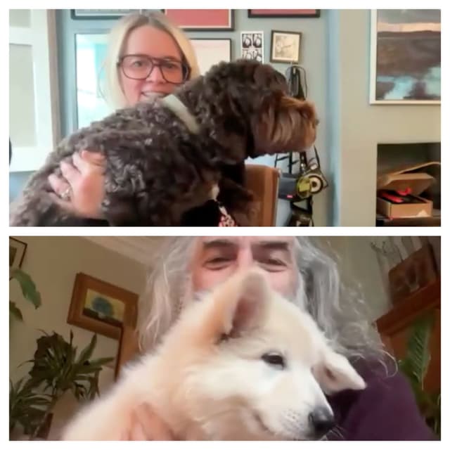 Warren Ellis On The Music Of The Death Of Bunny Munro (And His Dogs!)