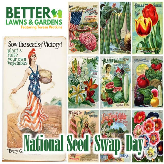 Better Lawns and Gardens - Hour 2 National Seed Swap Day Jan 31, 2026