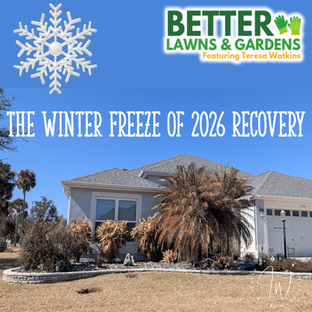 Better Lawns and Gardens - Hour 1 Winter Freeze Recovery Feb 7 2026