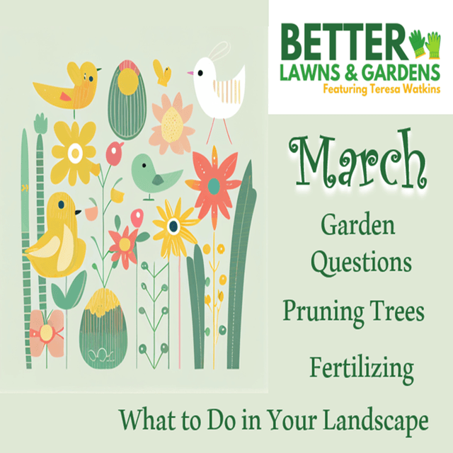 Better Lawns and Gardens - Hour 1 March Garden Questions March 6, 2026