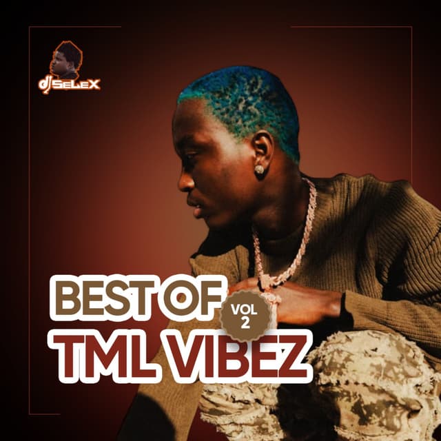 DJ Selex Best of Tml Vibez Vol 2