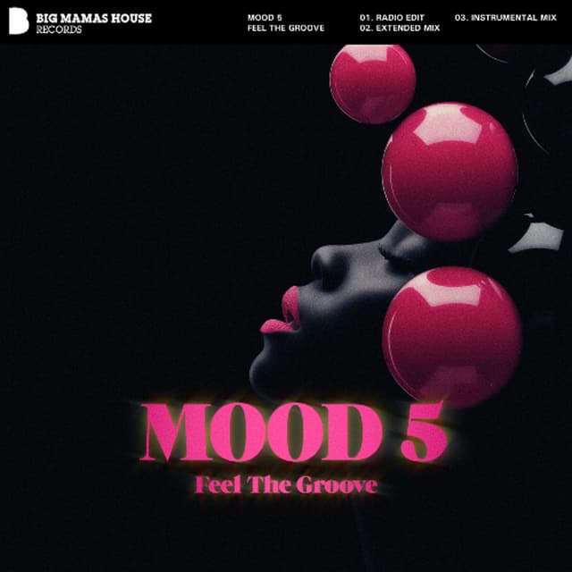 Mood 5 - Feel The Groove