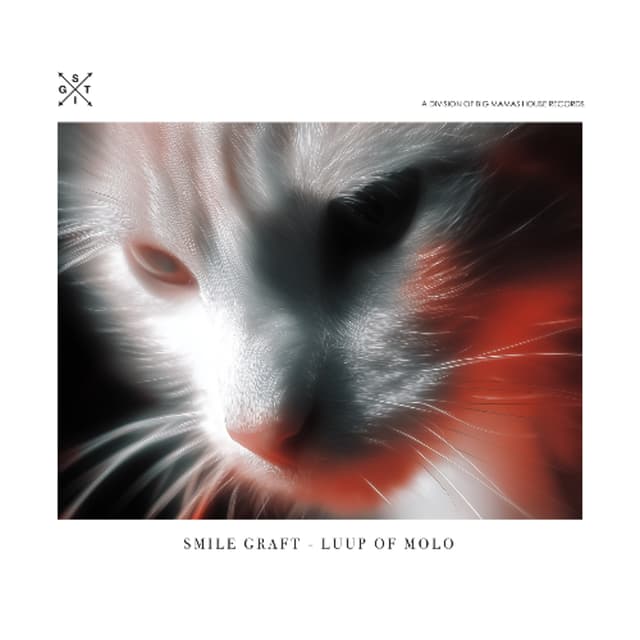 Smile Graft - Luup Of Molo [Radio Edit]