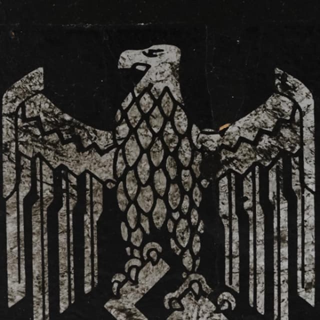 1111 "THE RISE OF THE REICH" - RACIAL PROFILING AND REPRESSION IN THE UNITED STATES