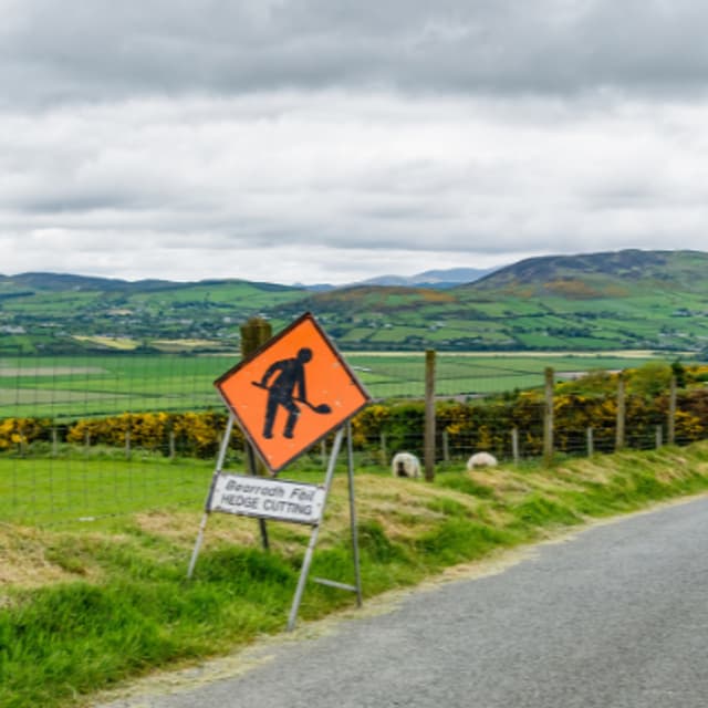 Councillors Raise Concerns Over Roadside Hedge Safety On School Bus Routes