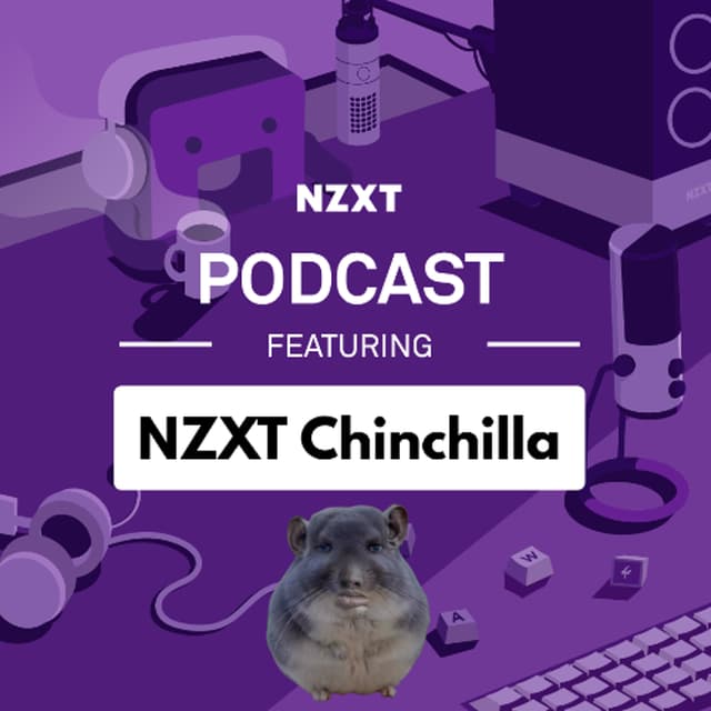 #205 - NZXTChinchilla Rates Your Setups!