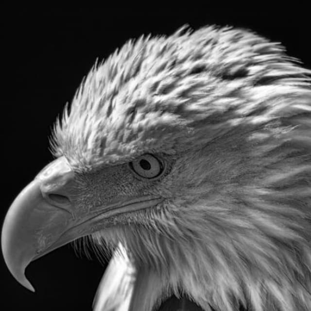 "PROVOCATION" - AN EXAMINATION OF DECLINE IN AMERICA [JAN. 22, 2026]