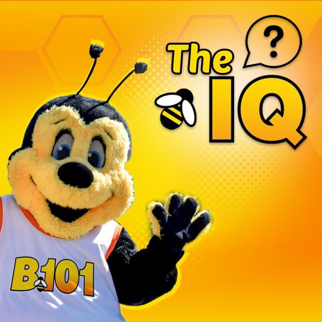 IQ | 8.24.26 | $707