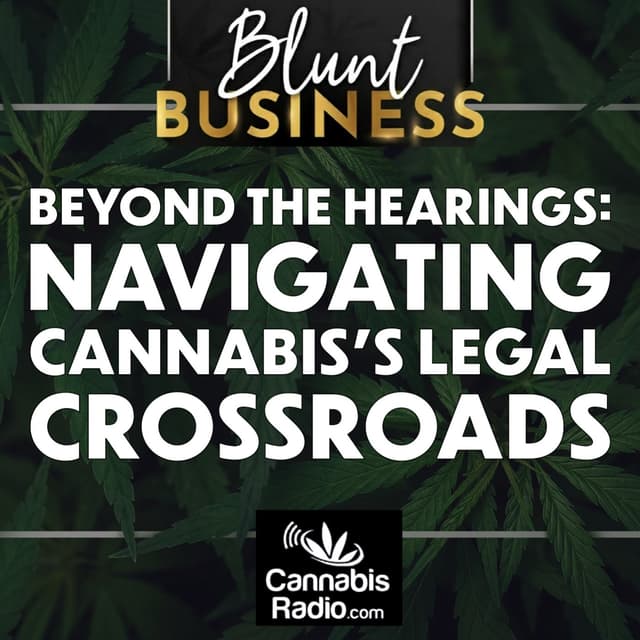 Beyond the Hearings: Navigating Cannabis's Legal Crossroads