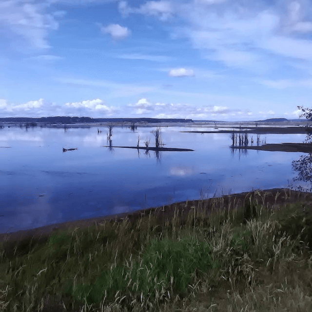 Last Show for 2026 ANYTHING GOES MON!   108.3 WGKSRADIO Show 2630