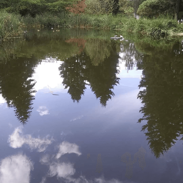 GRAB YOUR COCKTAIL! IT'S SILKY SMOOTH JAZZ ON 108.3 wGKSRADIO show 2663