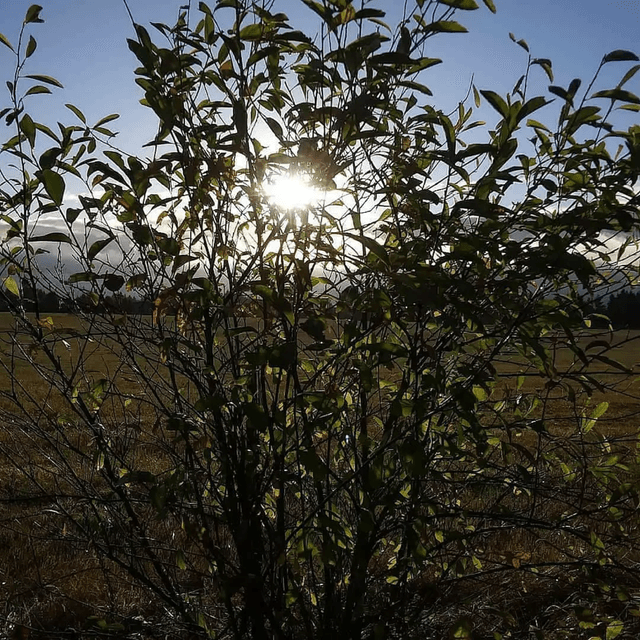 SILKY SMOOTH JAZZ, & SLOW JAMS AFTER DARK! ON 108.3 WGKSRADIO show 2673