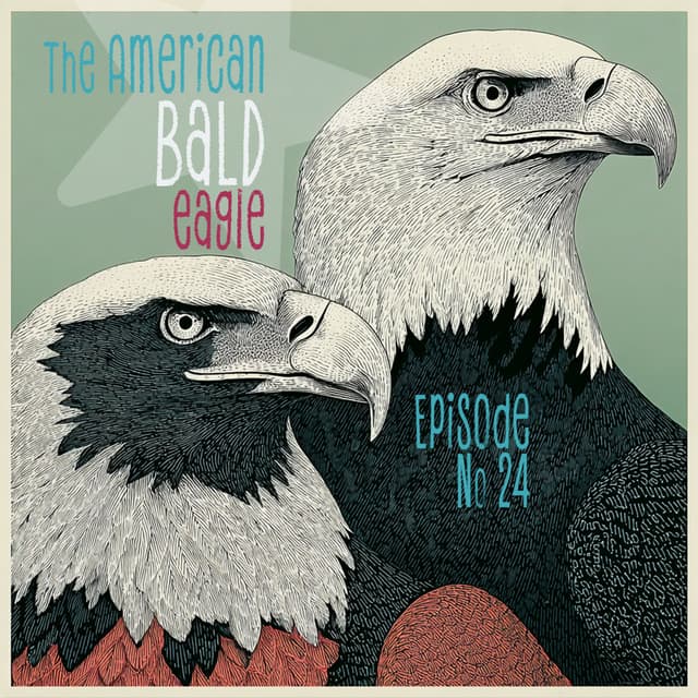 American Bald Eagles