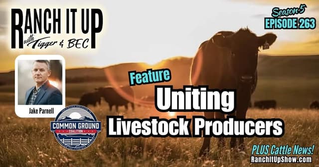 Common Ground Coalition:  Uniting Livestock Producers
