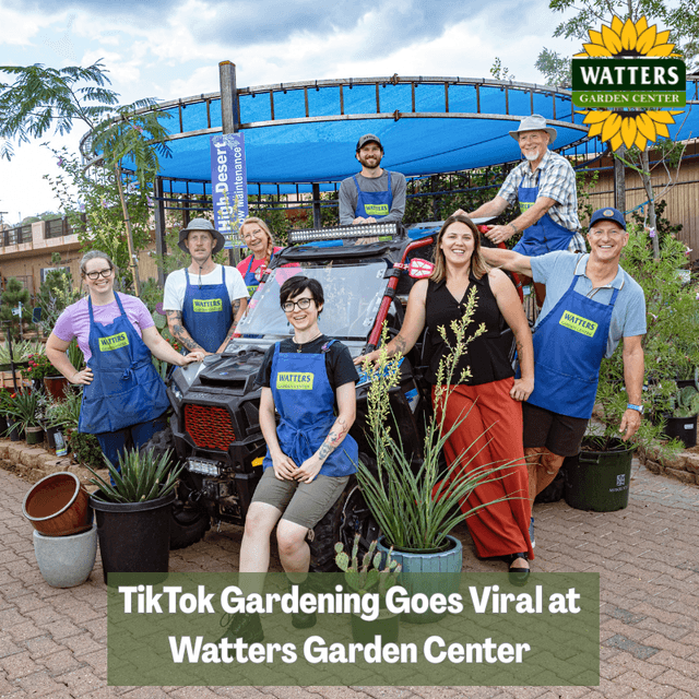 🧑‍🌾 TikTok Gardening Goes Viral at Watters Garden Center