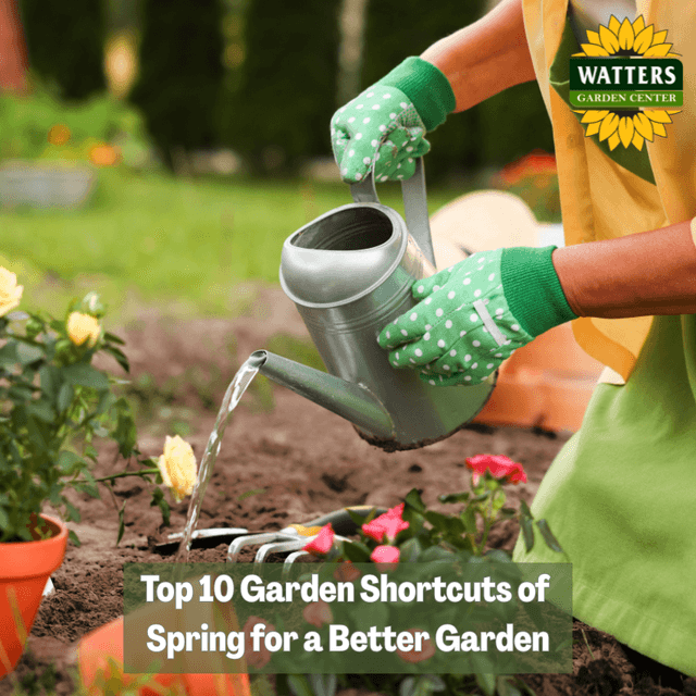 🧑‍🌾 Top 10 Shortcuts of Spring that Make Gardens Better