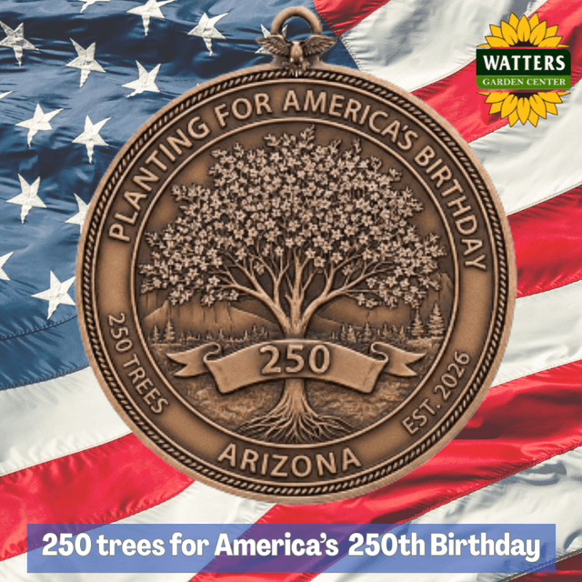 🇺🇸 250 trees for Americas 250th Birthday
