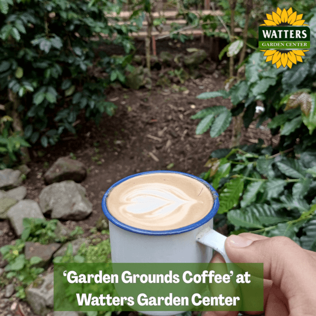 ☕️ Garden Grounds Coffee at Watters Garden Center