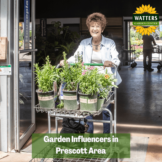🎤Garden Influencers in Prescott, Arizona