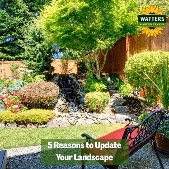 🌳 5 Reasons to Update Your Landscape