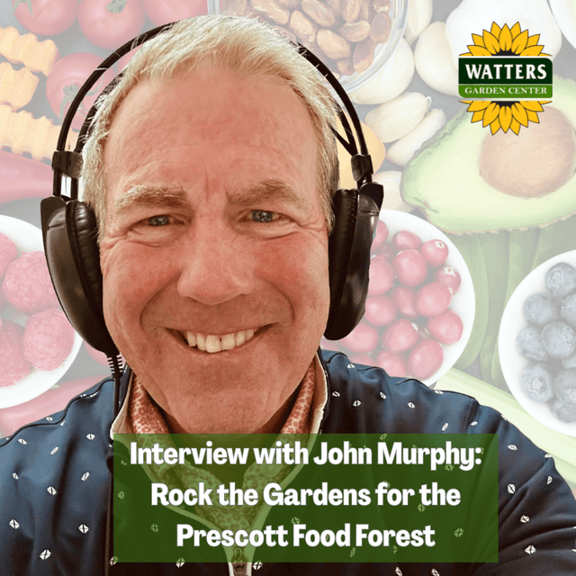 🪴Interview with John Murphy – 2026 Rock the Garden