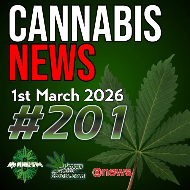 Pubs Turned Into Cannabis Farms, Senior Weed Kiosks, Snoop Dogg Stinks out Stadium! Mental Health Study & New Dutch Hemp Strain | Cannabis News 201