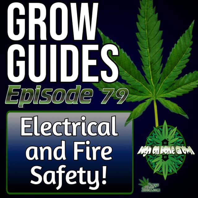 Fire & Electrical Safety in the Grow Room | How to Prevent Disasters Before They Happen | Grow Guides Ep.79