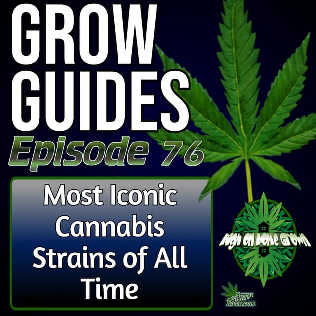 The Most Iconic Cannabis Strains of All Time! The Genetics That Changed Growing Forever | Grow Guides Ep. 76