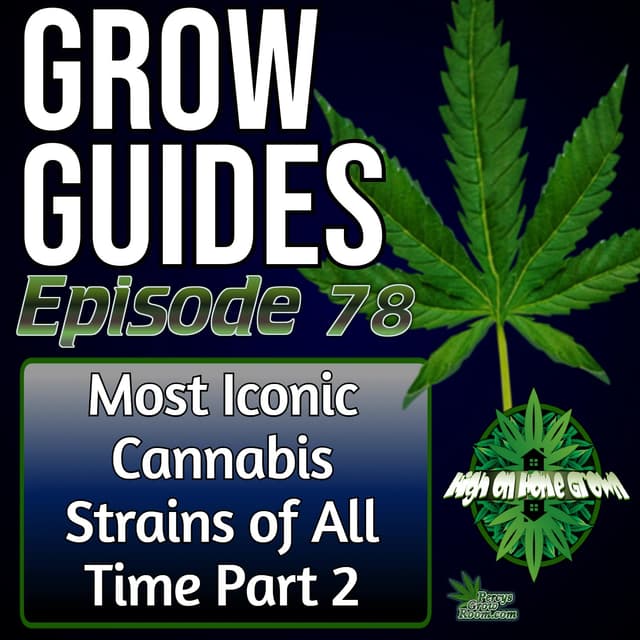 The Most Iconic Cannabis Strains of All Time – Part 2: The Legends That Shaped Modern Genetics | Grow Guides Ep. 78