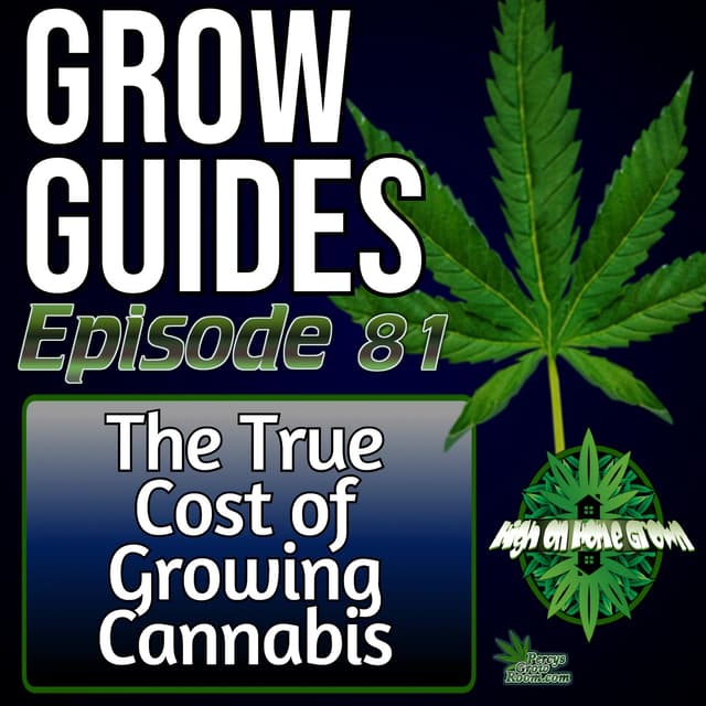 The True Cost of Growing Cannabis | Time Commitment, Burnout & The Mental Side of the Grow | Grow Guides Ep. 81