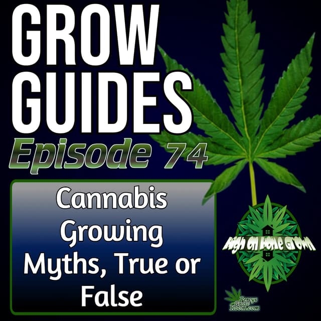 Common Cannabis Growing Myths Busted – What Actually Matters and What Really Doesn’t | Grow Guides Ep. 74