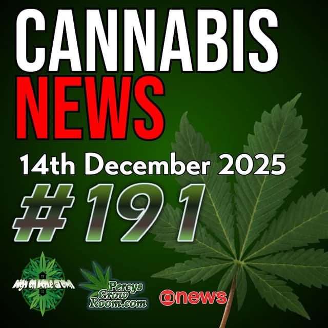 Trump to Reschedule Cannabis in January? | Huge Grow Found Under the Motorway in UK | Pensioners Going to Prison for Growing Cannabis  | Cannabis News 190