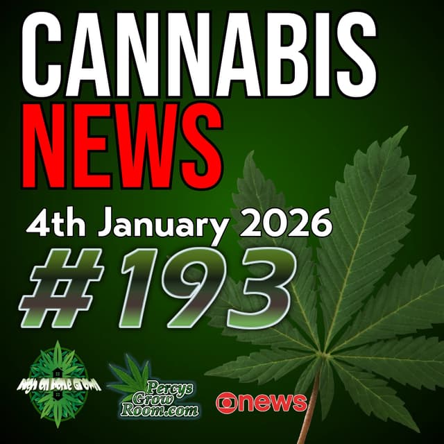 UK Legalisation Push, why it Makes Sense! | Lost Driver Asks Police for Help,  Whilst Smoking a Joint?! | Drone Farm Thefts | Major US Law Changes | Cannabis News 193
