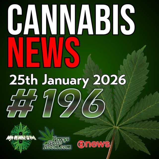 Infused Mustard Served to Increase Customer Interest! | Aurora secures EU Community Plant Variety Rights | Hemp Regulation Push & Scottish Medical Facility Support |Cannabis News #196