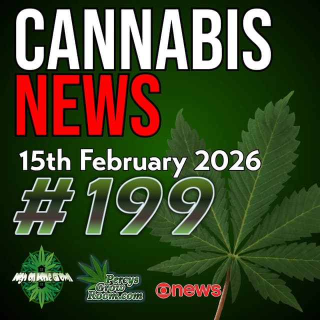 Legalisation Backlash Claims, Hemp Rule Changes, Essex Gang Sentenced & Prehistoric Cannabis Breakthrough | Cannabis News 199