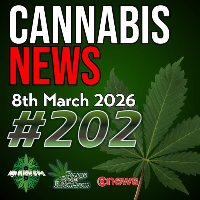 UK Campaign Tribute to Hannah Deacon, The Science of the Munchies, Fake Police Farm Raids & Malta Club Law Change | Cannabis News 202