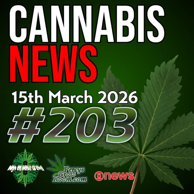 UK Patient Support Launch, Charity Shop Cannabis Surprise, Virginia Legalisation Deal & New Hemp Research | Cannabis News 203