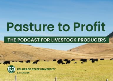 Pasture to Profit Podcast