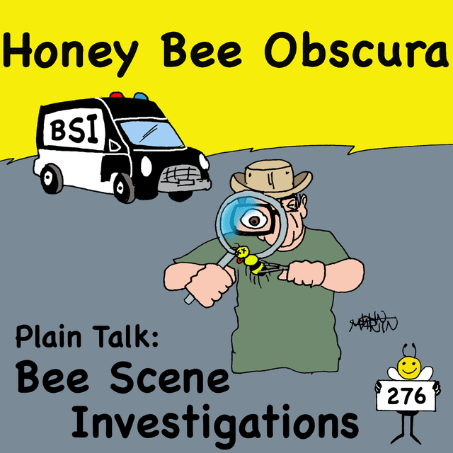 Plain Talk: BSI - Bee Scene Investigation