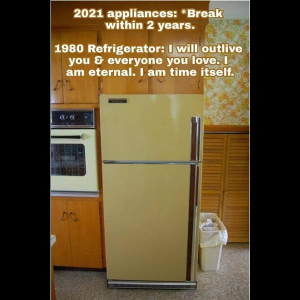 SOD #471: Who's Your Daddy?